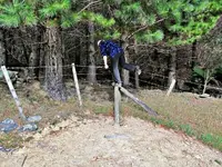Copy of Morgenspaziergang v (10).webp