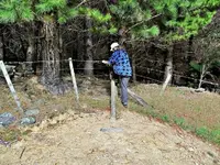 Copy of Morgenspaziergang v (11).webp