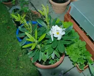 DSC_5952.2.webp
