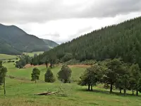 Morgenspaziergang v (13).webp