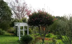 Copy of IMG_0137v.webp