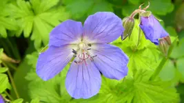 DSCN4783.webp