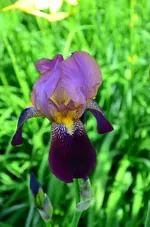 DSC_0402.webp