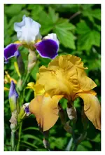 DSC_0400.webp