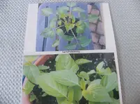 DSCF3977.webp