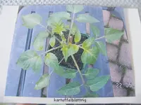 DSCF3979.webp