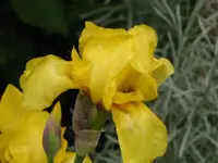 008.webp