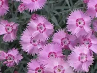 024.webp