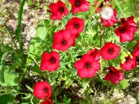 P1020621.webp