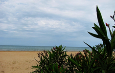 meer vieste.webp