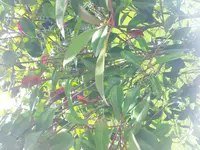 2013-05-30 16.34.00.webp