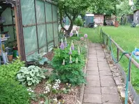 1305300001.webp