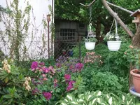 1305300002.webp