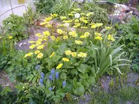 BILD1026.webp