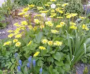 BILD1026b.webp