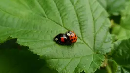 29. 5. 2013 (41).webp