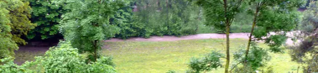 Aussicht Bach Hochwasser.webp