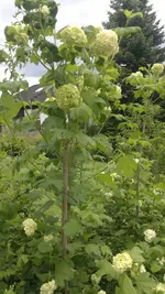 2013-05-30-1503.webp