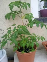 970520_553774577999060_698928855_n.webp