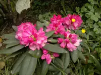 2013-05-24-1224.webp