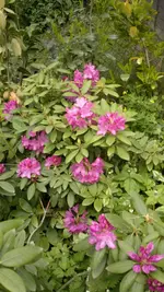 2013-05-30-1490.webp