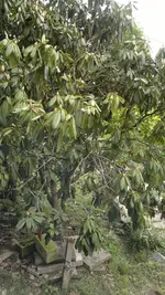 2013-05-30-1473.webp