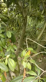 2013-05-30-1476.webp