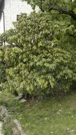 2013-05-30-1479.webp