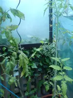 2013-05-31 13.17.12.webp