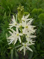 DSCN2090.webp