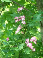 022.webp