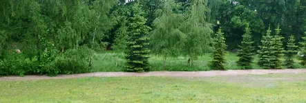 Bach Hochwasser.webp
