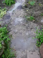 Gartenweg Hochwasser.webp