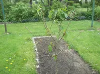 100_3535.webp