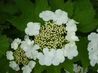 DSC07826.webp