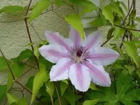 DSC07827.webp