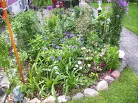 100_0973.webp