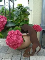 DSC07824.webp