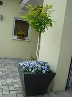 DSC07825.webp