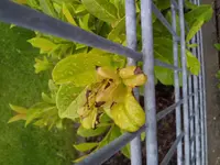 2013-06-01 11.07.32.webp