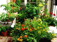 IMG_4370.webp