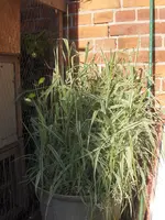 HPIM9609.webp
