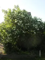 HPIM9611.webp