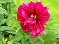 06.webp