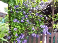 01.webp