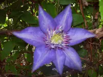 02.webp