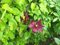 05.webp