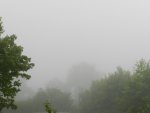 Morgennebel_7588.JPG