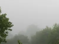 Morgennebel_7588.webp