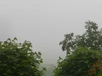 Morgennebel-1_7591.webp